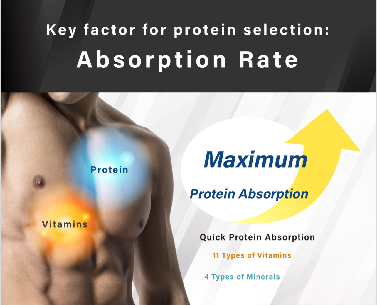 ALL IN ONE PROTEIN (YOGURT) 1kg